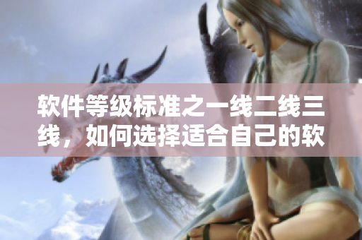 软件等级标准之一线二线三线，如何选择适合自己的软件？