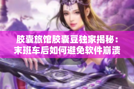 胶囊旅馆胶囊豆独家揭秘：末班车后如何避免软件崩溃？