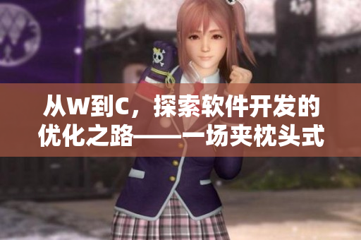 从W到C，探索软件开发的优化之路——一场夹枕头式的编码之旅