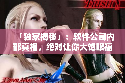 「独家揭秘」：软件公司内部真相，绝对让你大饱眼福！