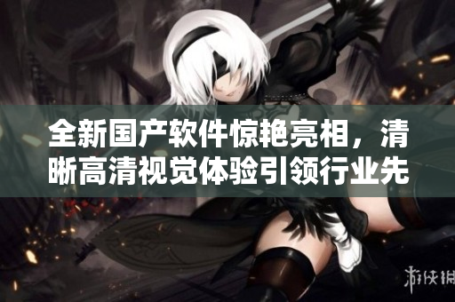 全新国产软件惊艳亮相，清晰高清视觉体验引领行业先河！