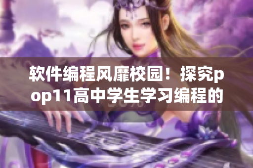 软件编程风靡校园！探究pop11高中学生学习编程的原因