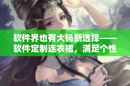 软件界也有大码新选择——软件定制连衣裙，满足个性化需求
