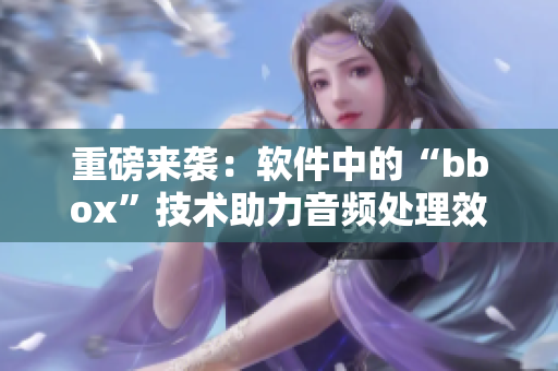 重磅来袭：软件中的“bbox”技术助力音频处理效果提升