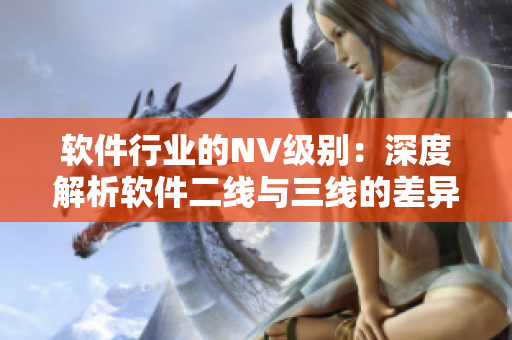 软件行业的NV级别：深度解析软件二线与三线的差异与互通性