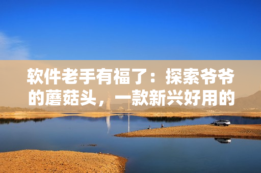 软件老手有福了：探索爷爷的蘑菇头，一款新兴好用的编程工具