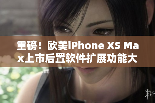 重磅！欧美iPhone XS Max上市后置软件扩展功能大揭秘
