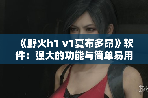 《野火h1 v1夏布多昂》软件：强大的功能与简单易用的体验