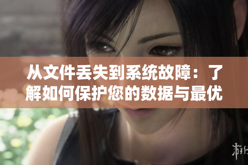 从文件丢失到系统故障：了解如何保护您的数据与最优软件