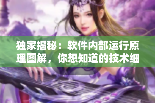 独家揭秘：软件内部运行原理图解，你想知道的技术细节在这里！
