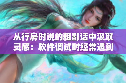 从行房时说的粗鄙话中汲取灵感：软件调试时经常遇到的问题及解决方法