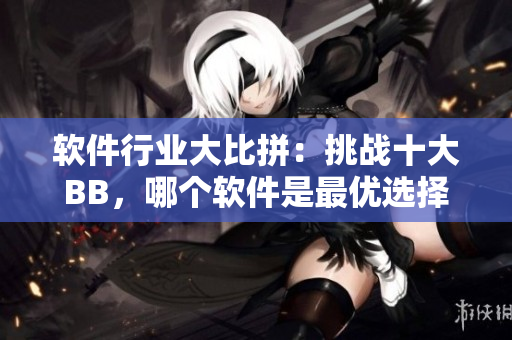 软件行业大比拼：挑战十大BB，哪个软件是最优选择？