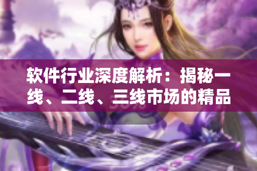 软件行业深度解析：揭秘一线、二线、三线市场的精品无线产品
