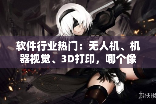 软件行业热门：无人机、机器视觉、3D打印，哪个像榴莲？
