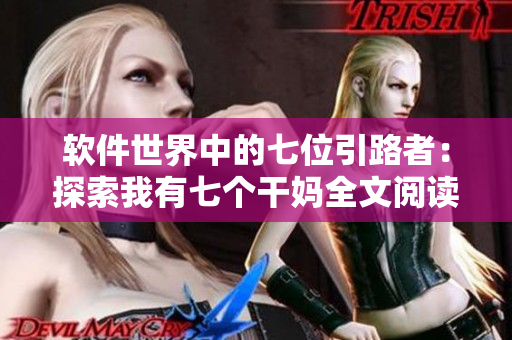 软件世界中的七位引路者：探索我有七个干妈全文阅读的编程之路