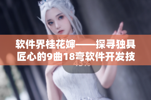 软件界桂花婶——探寻独具匠心的9曲18弯软件开发技艺