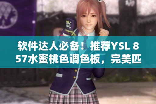 软件达人必备！推荐YSL 857水蜜桃色调色板，完美匹配软件主题色