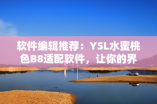 软件编辑推荐：YSL水蜜桃色B8适配软件，让你的界面更美观！