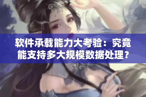 软件承载能力大考验：究竟能支持多大规模数据处理？