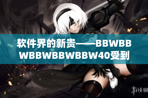 软件界的新贵——BBWBBWBBWBBWBBW40受到业内热烈追捧