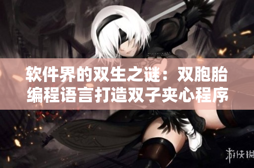 软件界的双生之谜：双胞胎编程语言打造双子夹心程序