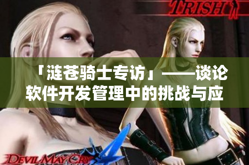 「涟苍骑士专访」——谈论软件开发管理中的挑战与应对措施