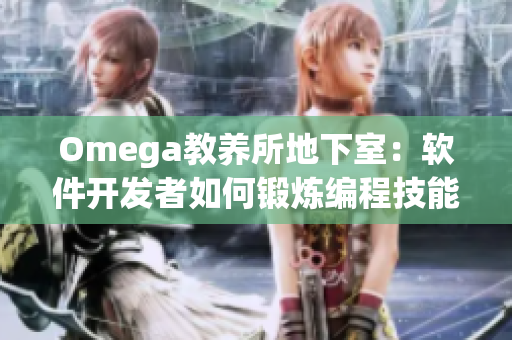 Omega教养所地下室：软件开发者如何锻炼编程技能与提高代码质量