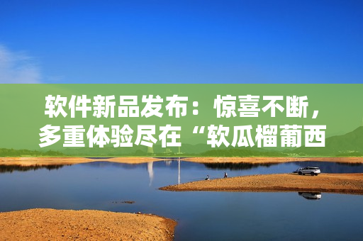 软件新品发布：惊喜不断，多重体验尽在“软瓜榴葡西”！