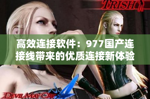高效连接软件：977国产连接线带来的优质连接新体验