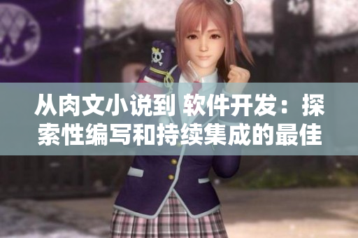 从肉文小说到 软件开发：探索性编写和持续集成的最佳实践