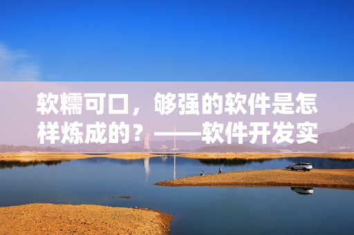 软糯可口，够强的软件是怎样炼成的？——软件开发实战心得分享