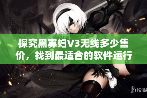 探究黑寡妇V3无线多少售价，找到最适合的软件运行方式