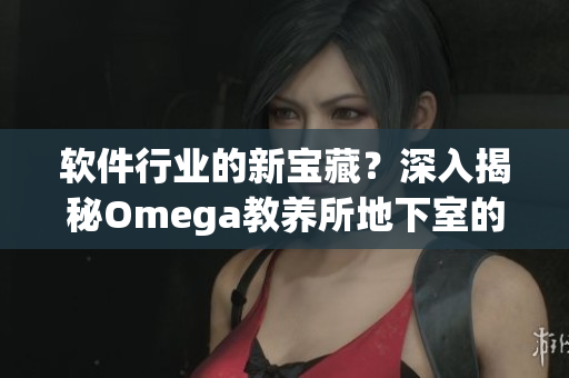软件行业的新宝藏？深入揭秘Omega教养所地下室的软件秘密