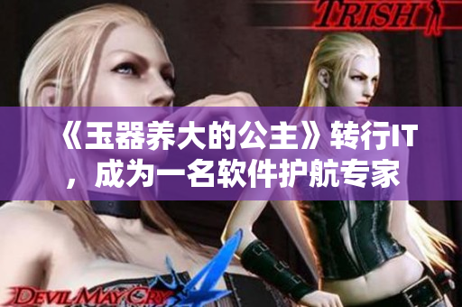 《玉器养大的公主》转行IT，成为一名软件护航专家