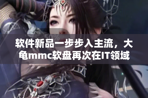软件新品一步步入主流，大龟mmc软盘再次在IT领域异军突起