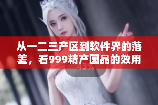 从一二三产区到软件界的落差，看999精产国品的效用提升
