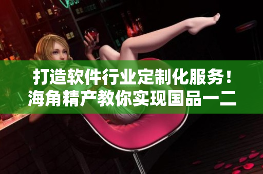 打造软件行业定制化服务！海角精产教你实现国品一二三！