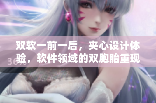 双软一前一后，夹心设计体验，软件领域的双胞胎重现!