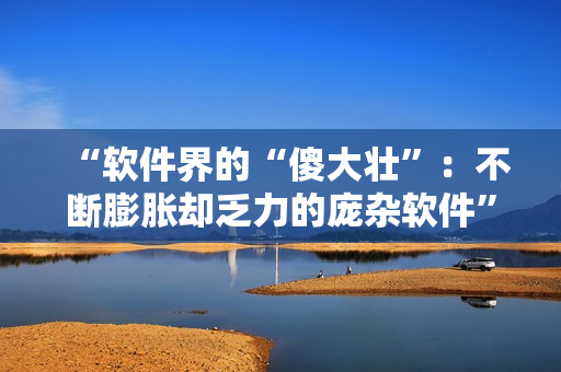 “软件界的“傻大壮”：不断膨胀却乏力的庞杂软件”