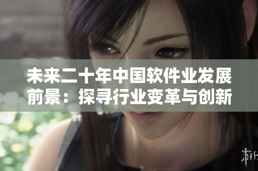 未来二十年中国软件业发展前景：探寻行业变革与创新趋势