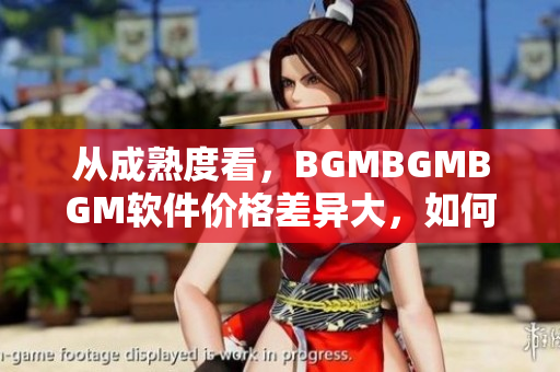 从成熟度看，BGMBGMBGM软件价格差异大，如何选择？