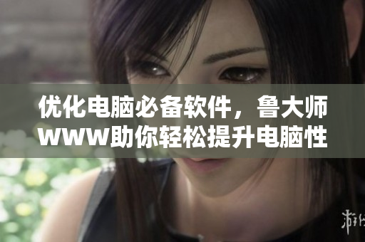 优化电脑必备软件，鲁大师WWW助你轻松提升电脑性能