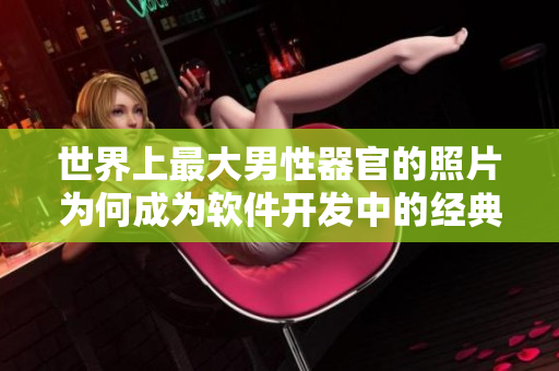 世界上最大男性器官的照片为何成为软件开发中的经典案例？