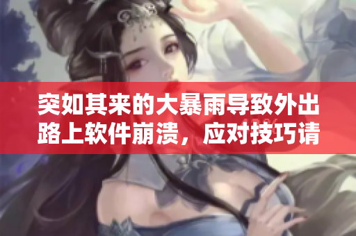 突如其来的大暴雨导致外出路上软件崩溃，应对技巧请查看本文