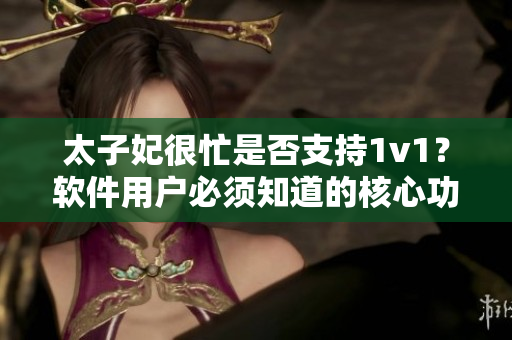 太子妃很忙是否支持1v1？软件用户必须知道的核心功能解析！