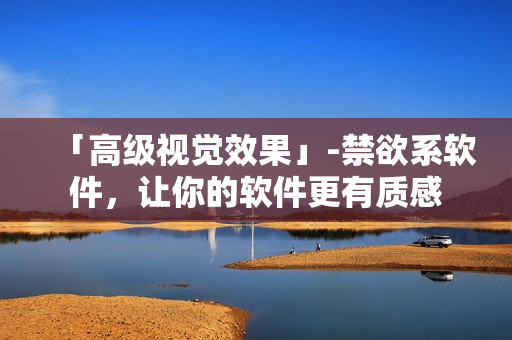 「高级视觉效果」-禁欲系软件，让你的软件更有质感