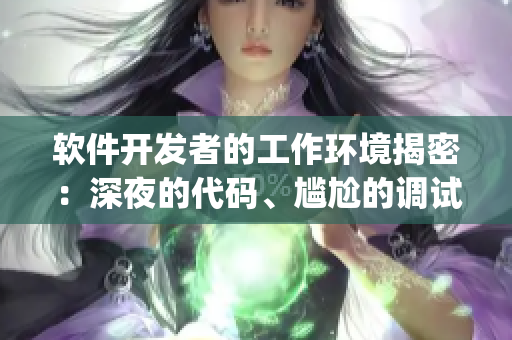 软件开发者的工作环境揭密：深夜的代码、尴尬的调试和突然的Bug