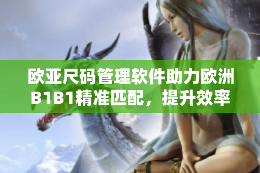 欧亚尺码管理软件助力欧洲B1B1精准匹配，提升效率与准确性