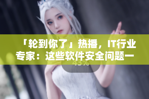 「轮到你了」热播，IT行业专家：这些软件安全问题一定得解决！