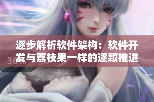 逐步解析软件架构：软件开发与荔枝果一样的逐颗推进